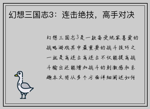 幻想三国志3：连击绝技，高手对决
